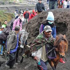 gunung bromo4
