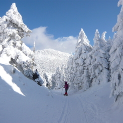 雪原歩き