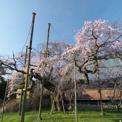 般若院　１