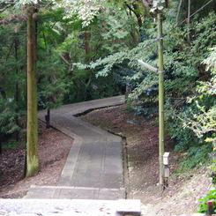 帰路。。。御本宮へ