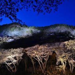 電照屏風岩