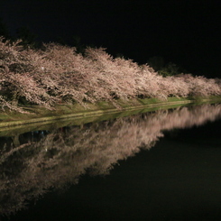 幽春ナウ