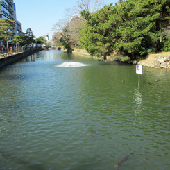 高知城