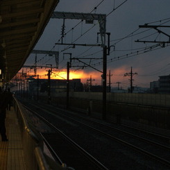 DSC00490