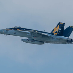 ＃300　VFA-115 Eagles