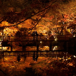 燃ゆる秋の夜