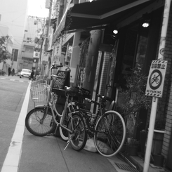 no parking