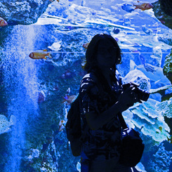 水族館