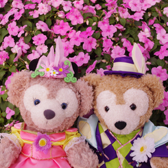 2014.6 Disney