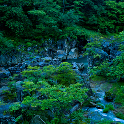 黎明厳美 - 弐 -