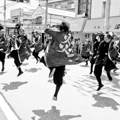 高知よさこい祭り