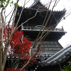 なんとか寺