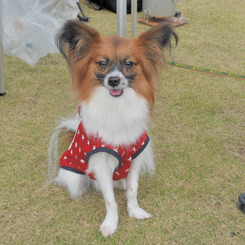 Ishi-kun_0511