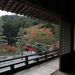 借景