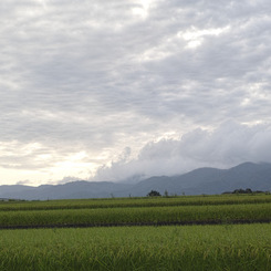 今朝の風景
