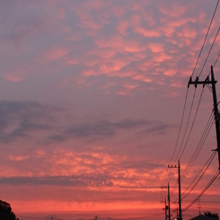 今朝の空＾＾