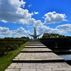 万博記念公園　平和のバラ園より