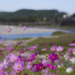 秋の原風景