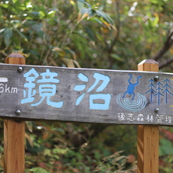 ニセコ連峰①　鏡沼へ