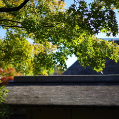 風景