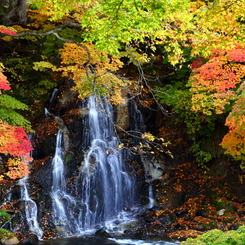 秋の不動の滝 VII