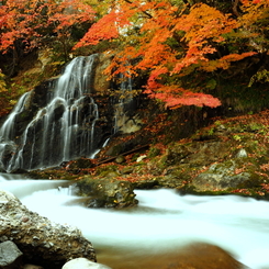 秋の不動の滝 X