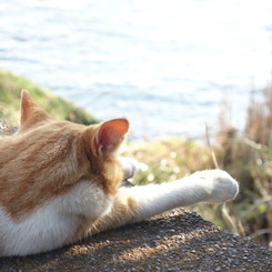 海を見ながら