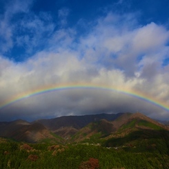 『Over the rainbow』