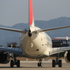 JAL B737-800　後姿