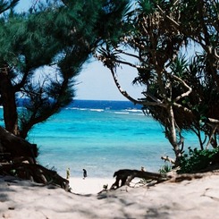 伊計島