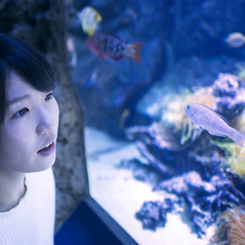 おさかなさん