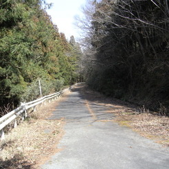 廃道