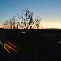 元旦早朝電車