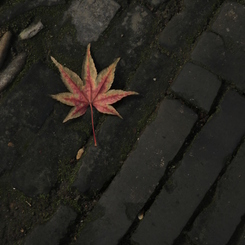 ２０１４年１１月　蘇州⑨