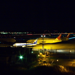 2010初成田