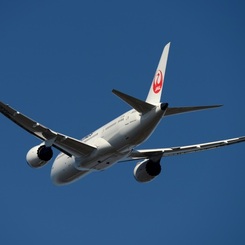 JAL 787-8 