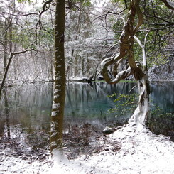 雪の丸池様-1