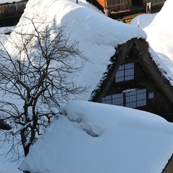 深雪のなかで．．．