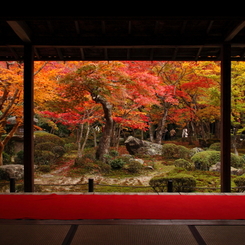 圓光寺の絵巻