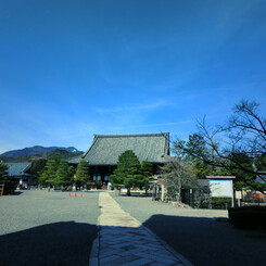 澄みわたる空