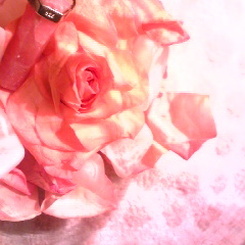 rock & rose