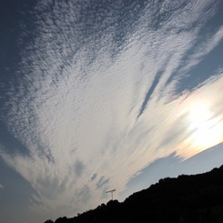雲