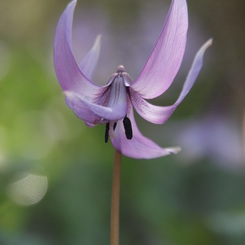 P4025661