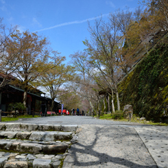 三千院門跡　門前