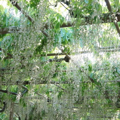 DSC02200