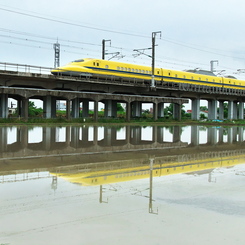 ドクターイエローとの遭遇４１（水田２）