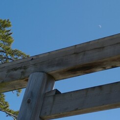 伊勢鳥居と月