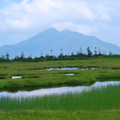 夏の思い出