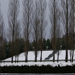 雪　樹　空　