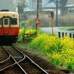 春・対向列車